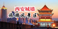 中国妞插毛绒绒的黑骚屄中国陕西-西安城墙旅游风景区